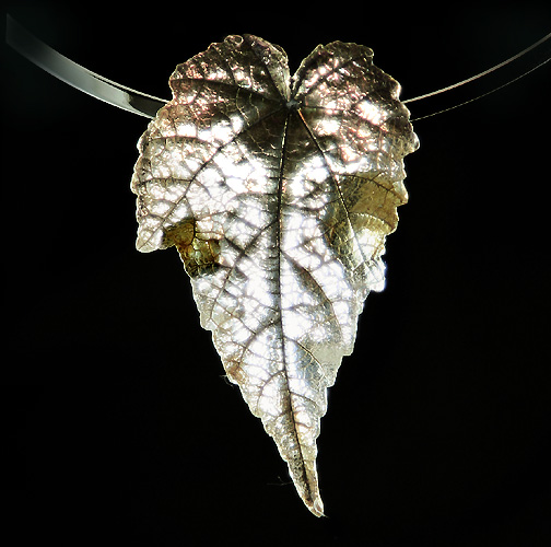 Fine Silver Flowering Maple leaf
