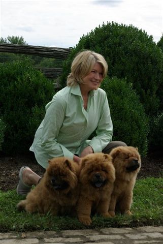 martha-and-the-boys-at-the-farm