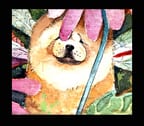 GRAFFITI GOSSIP NEWSLETTER: May 1, 2009