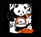 NEW..PANDA VALENTINE and Peek-A-Boo panda shoes!!