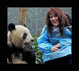 A FEW PANDA CENTER HIGHLIGHTS…VIDEOS AND PHOTOGRAPHY