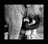 CHIANG MAI THAILAND…Lek sings to her baby elephant- video