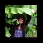 GOING BANANAS in the garden and new site features