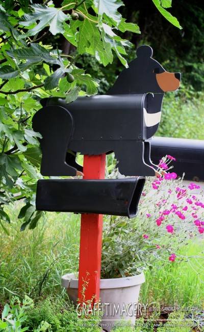 The moonbear mailbox is now installed