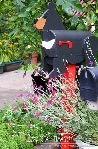 The moonbear mailbox is now installed