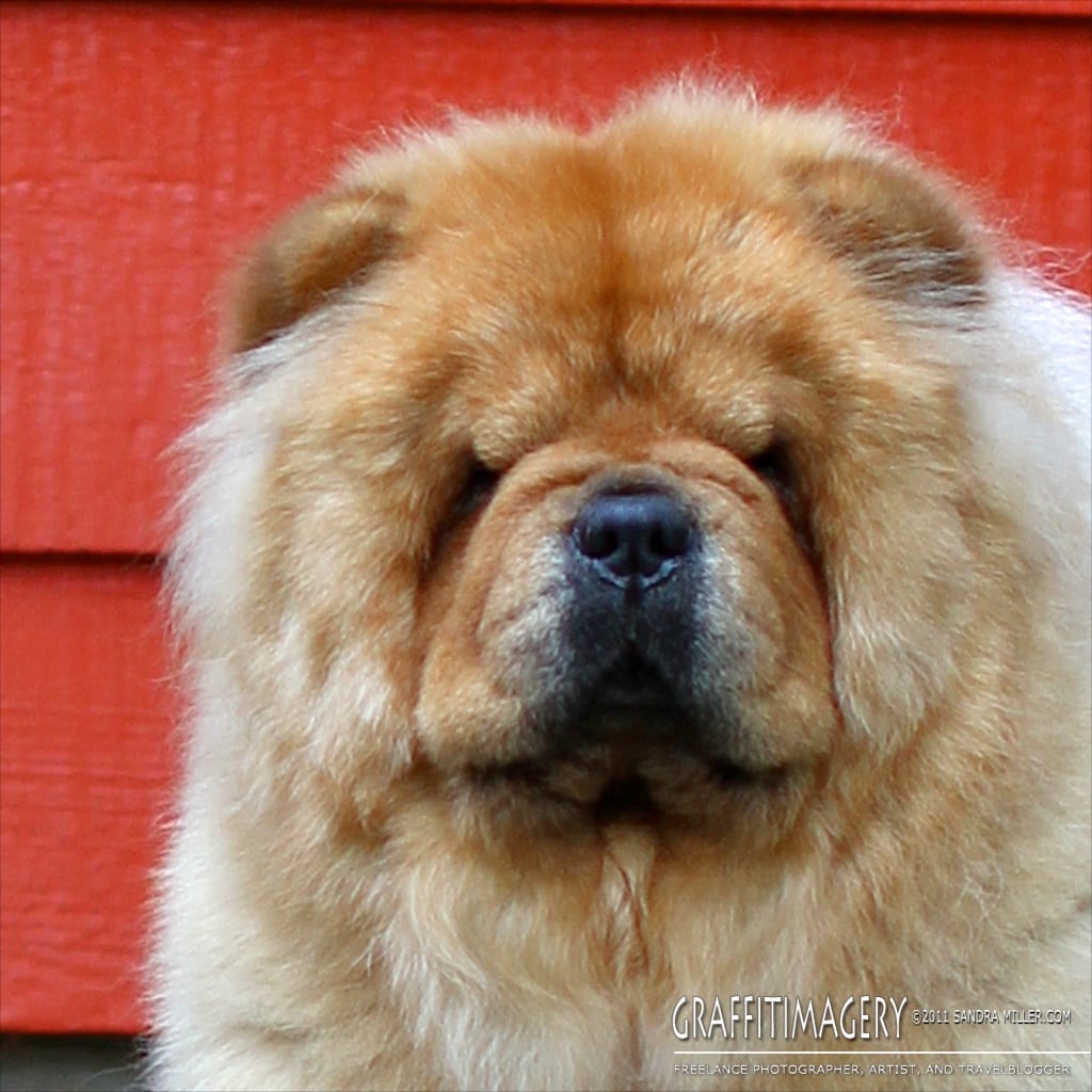 Freshly Bathed, July 2011