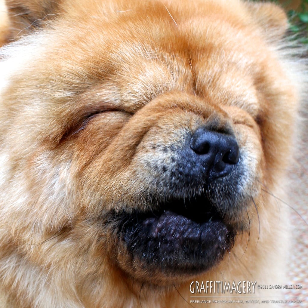 Freshly Bathed, July 2011