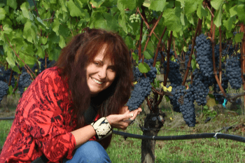 DIVISION WINERY-OCTOBER 2011 PHOTOSHOOT  3329