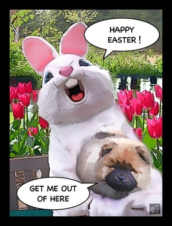 HAPPY EASTER 2012 HAPPY EASTER 2012